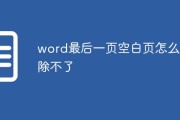 word最后一页空白页怎么删除不了