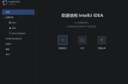 Jetbrains IntelliJ IDEA 2026.2.3 中文直装版 – Java 集成开发环境