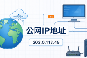 如何快速查看公网IP地址